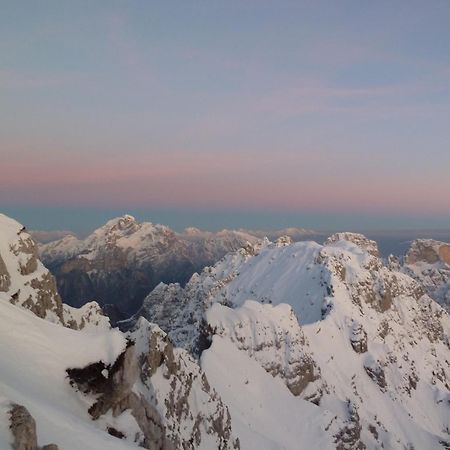 La Poesia Dolomiti Apartments Comune Rivamonte Agordino Eksteriør billede