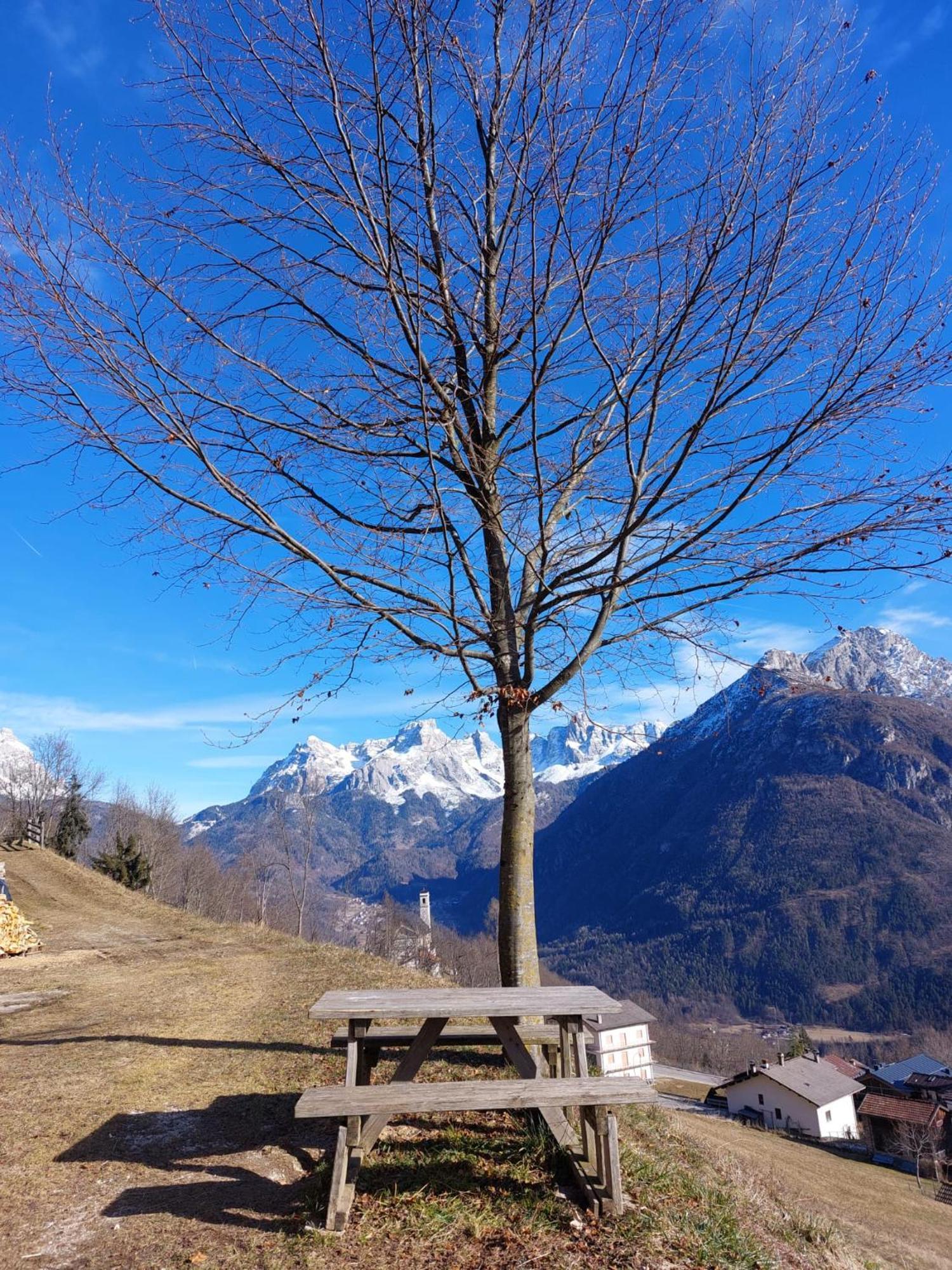 La Poesia Dolomiti Apartments Comune Rivamonte Agordino Eksteriør billede